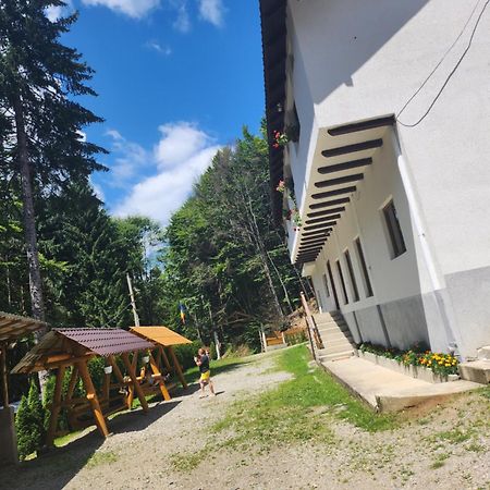 Cabana Valea Bradului Nucşoara Zewnętrze zdjęcie