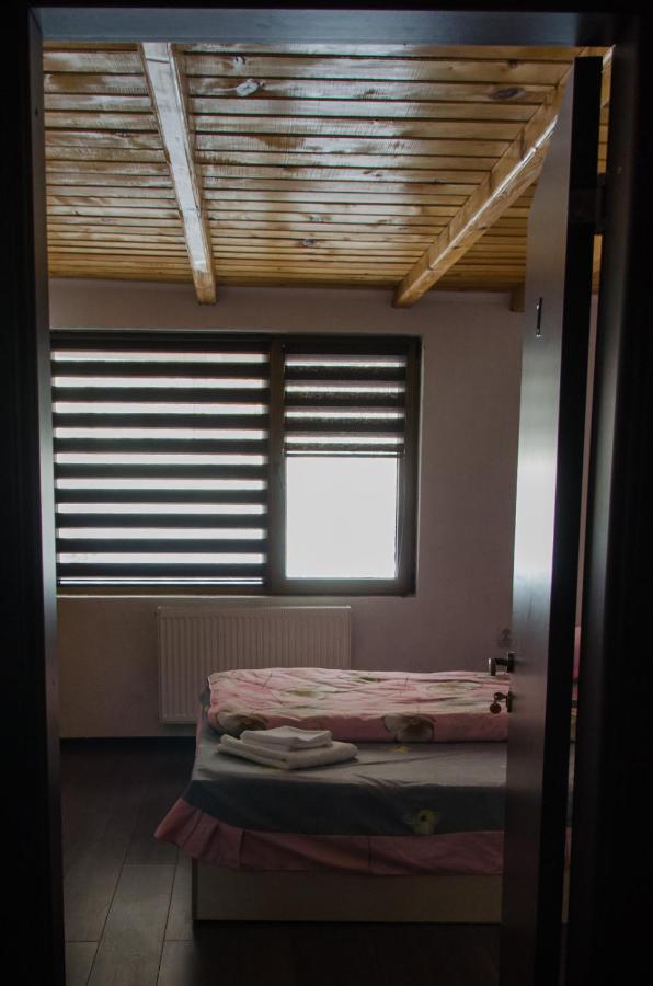 Cabana Valea Bradului Nucşoara Zewnętrze zdjęcie