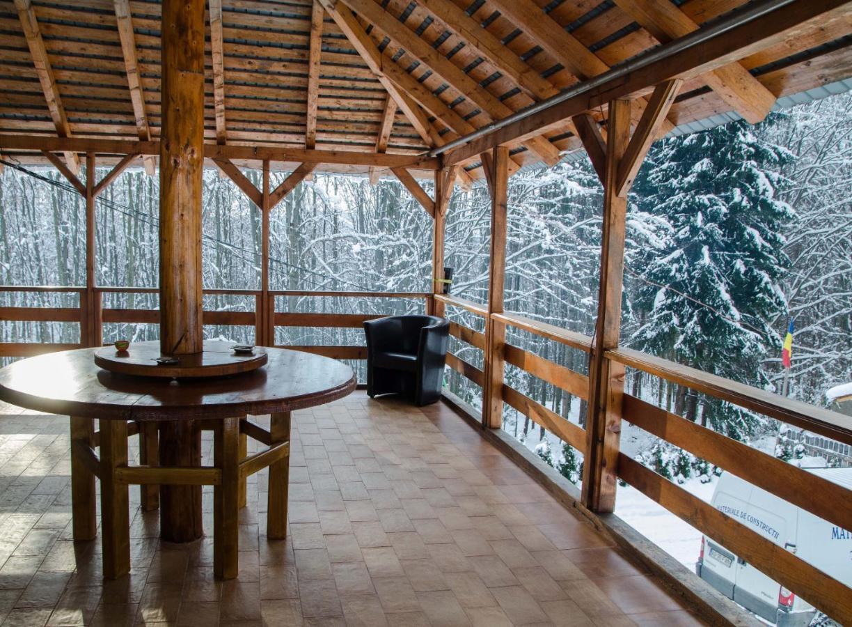 Cabana Valea Bradului Nucşoara Zewnętrze zdjęcie