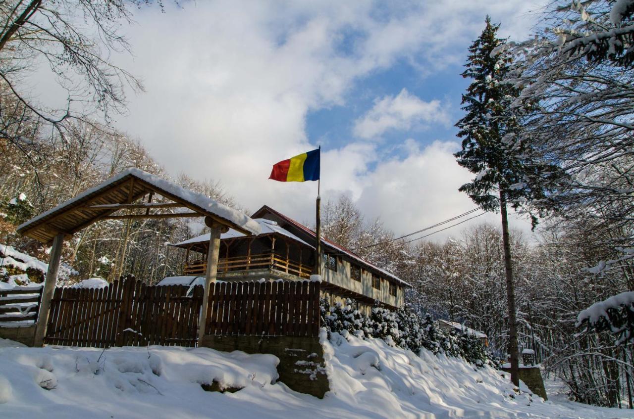 Cabana Valea Bradului Nucşoara Zewnętrze zdjęcie