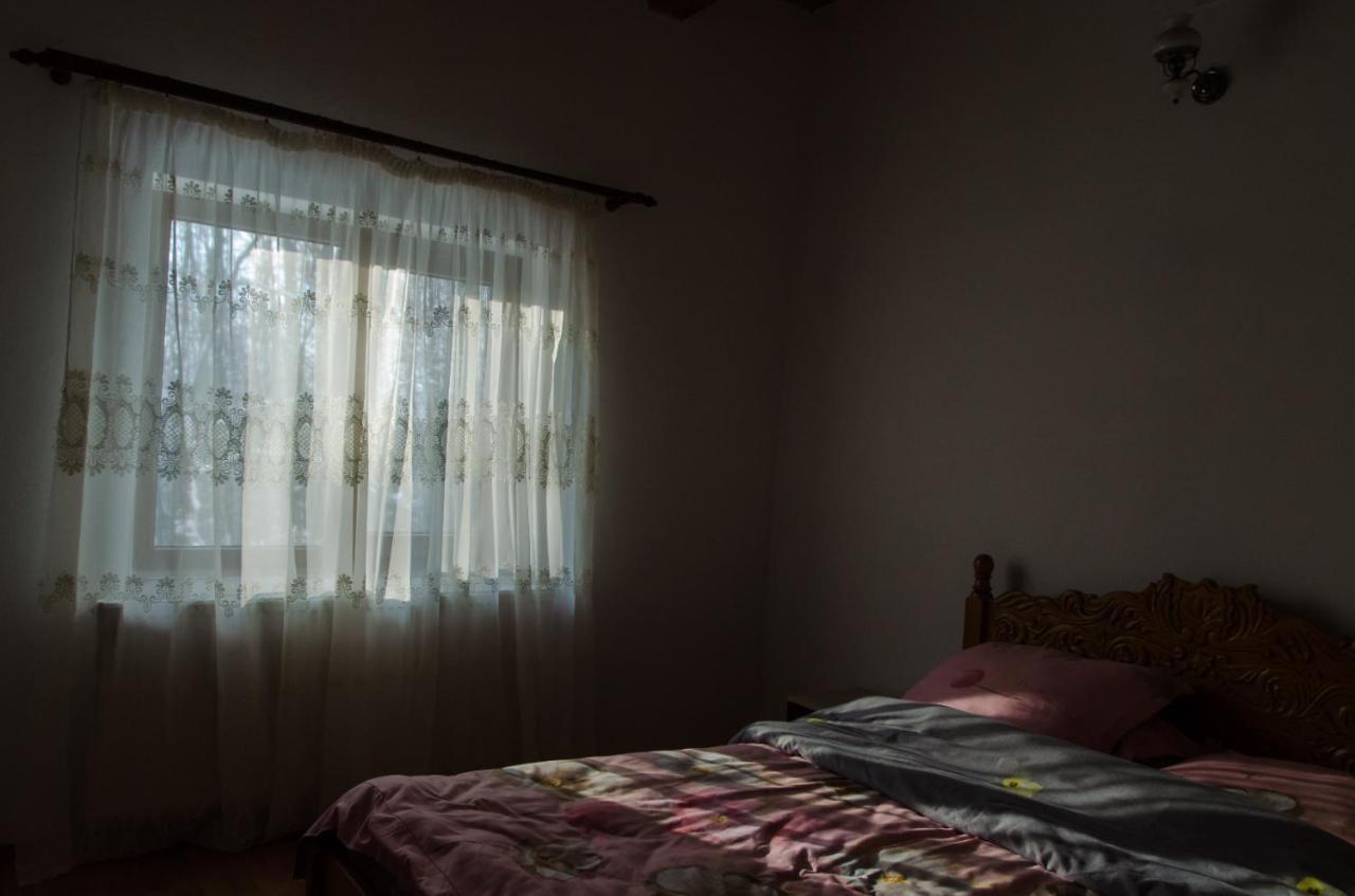 Cabana Valea Bradului Nucşoara Zewnętrze zdjęcie