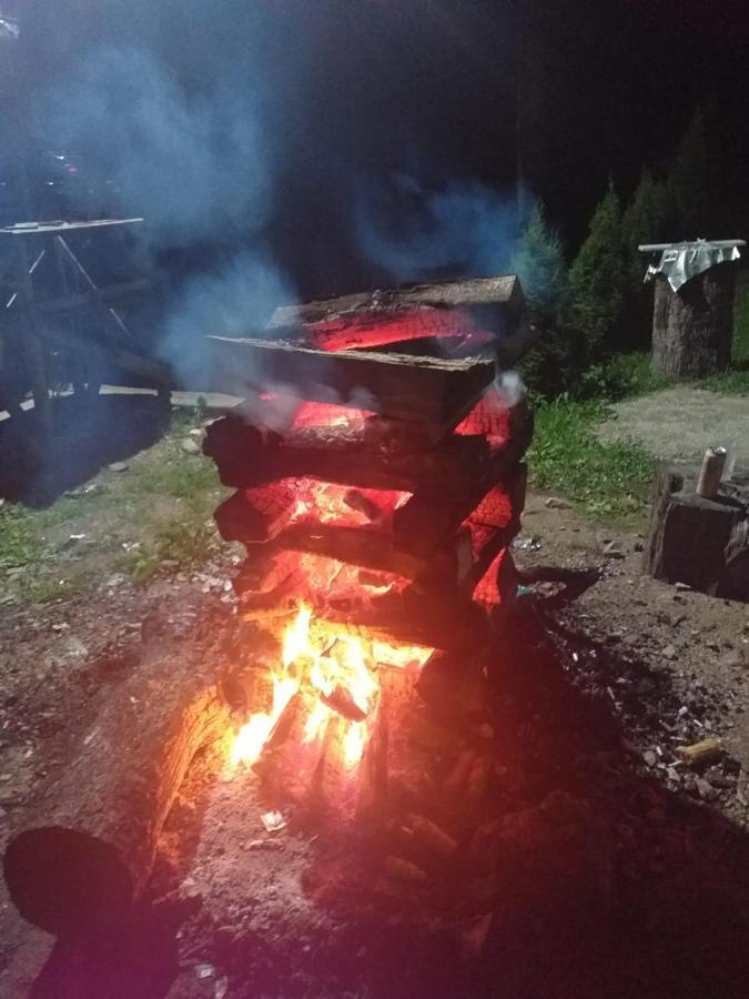 Cabana Valea Bradului Nucşoara Zewnętrze zdjęcie