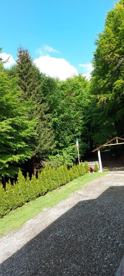 Cabana Valea Bradului Nucşoara Zewnętrze zdjęcie