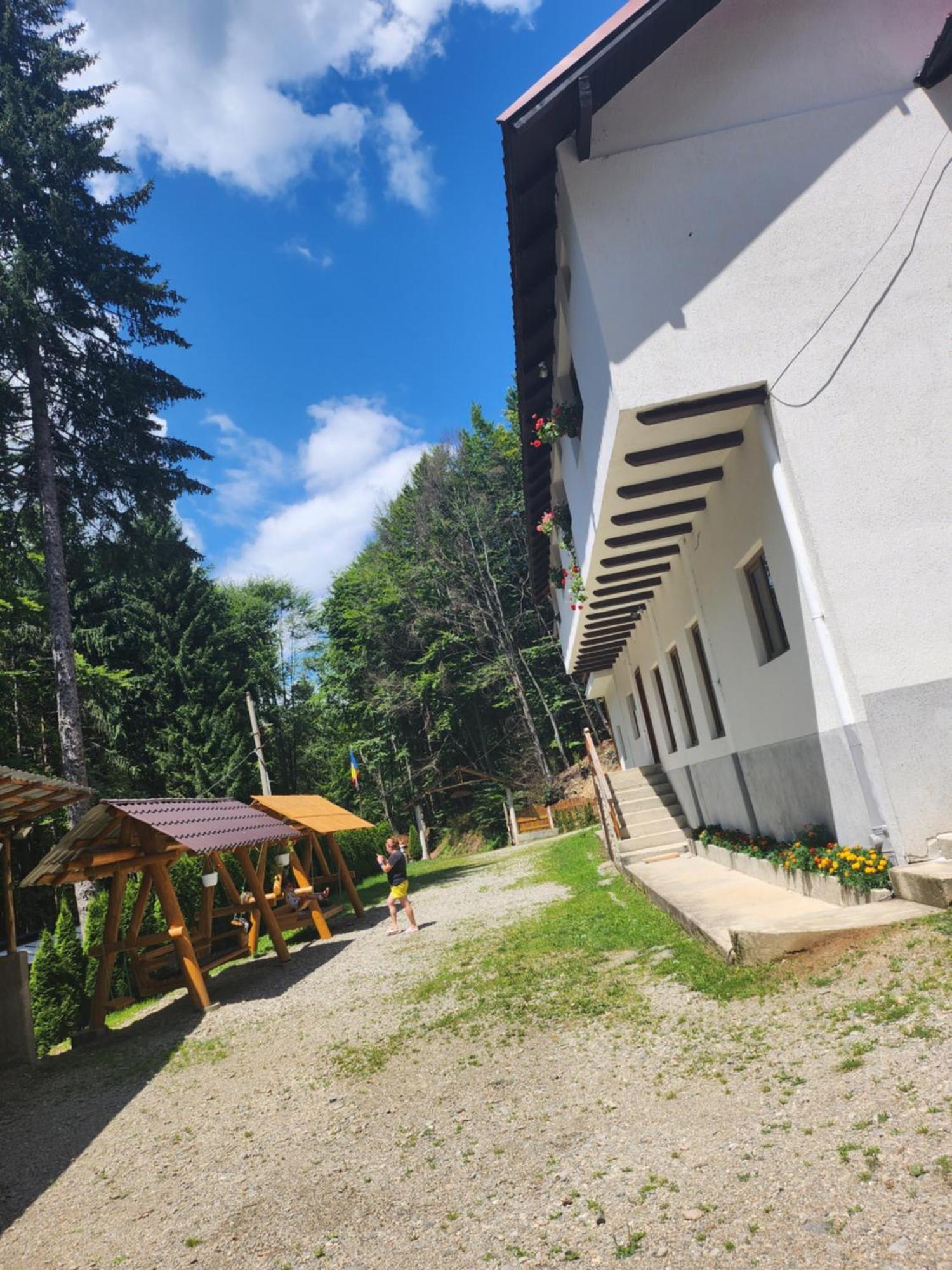 Cabana Valea Bradului Nucşoara Zewnętrze zdjęcie