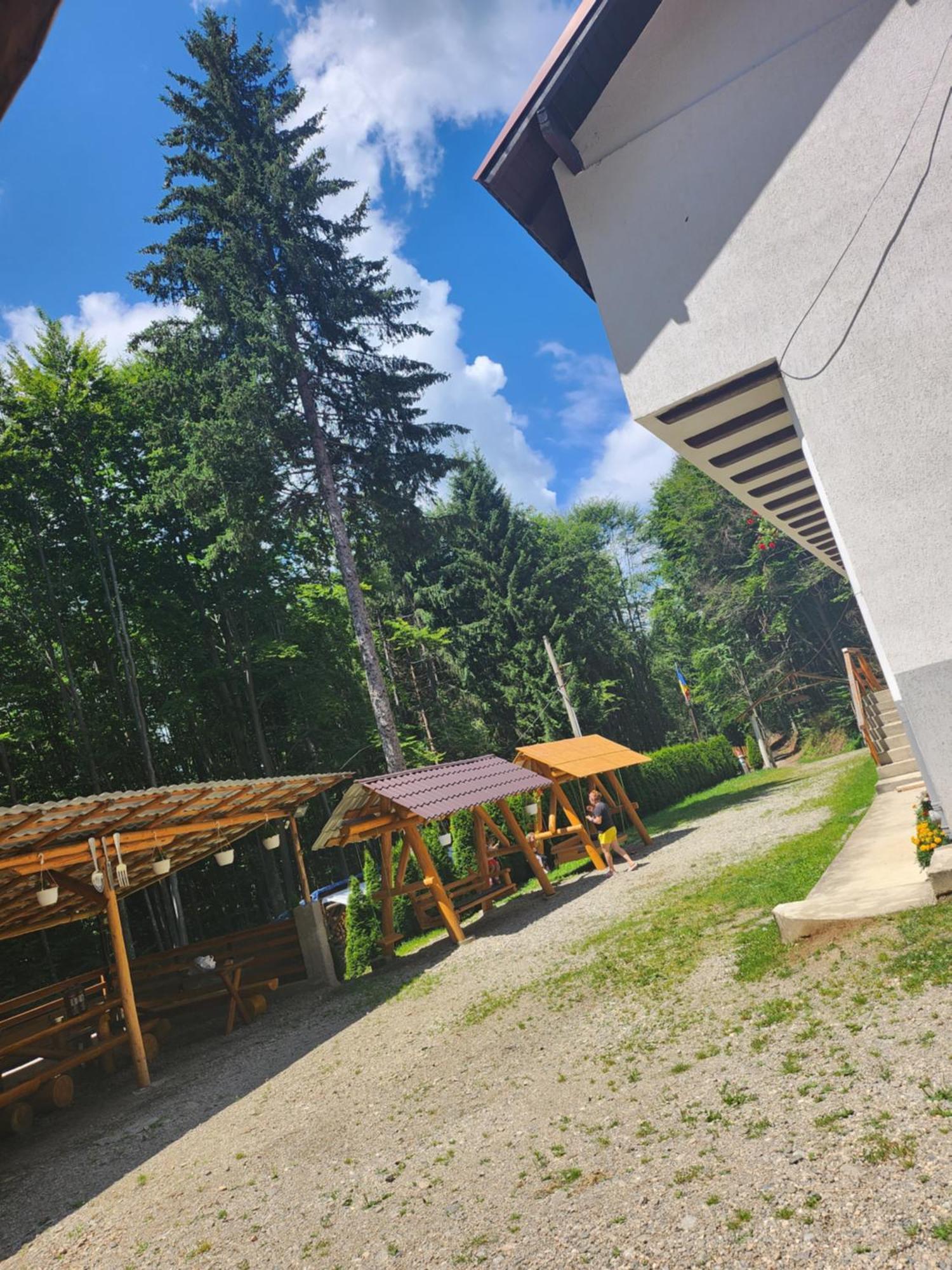 Cabana Valea Bradului Nucşoara Zewnętrze zdjęcie